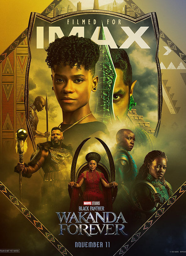 Sold Black Panther: Wakanda Forever Bus Shelter Theater Poster