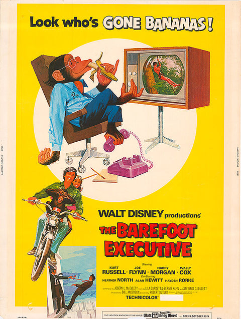 Barefoot Executive