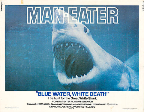 Blue Water, White Death