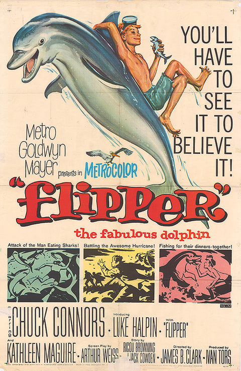 Flipper