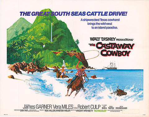 Castaway Cowboy