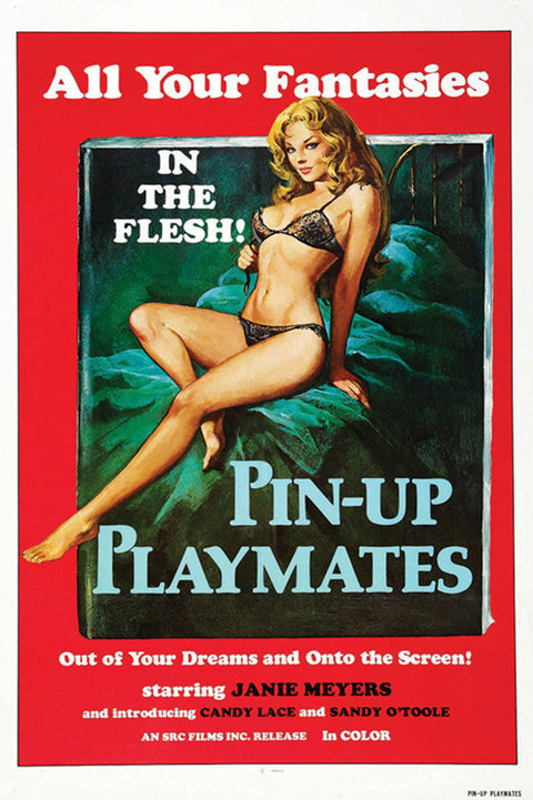 Pin-Up Playmates