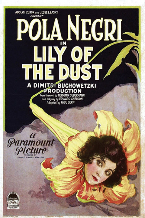 Lily Of The Dust