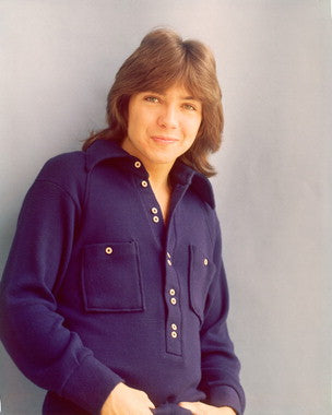 David Cassidy