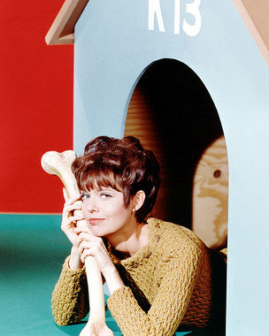 Barbara Feldon