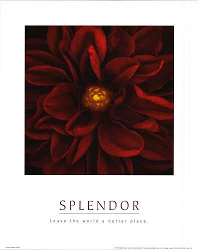 Splendor