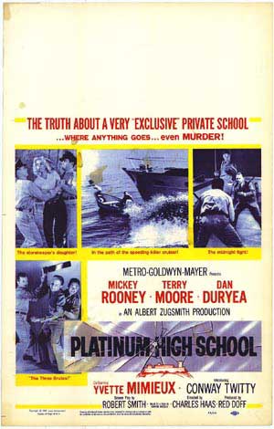 Platinum High School