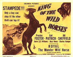 King Of The Wild Horses