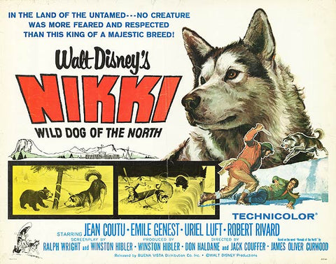 Nikki Wild Dog of the North