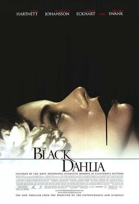 Black Dahlia