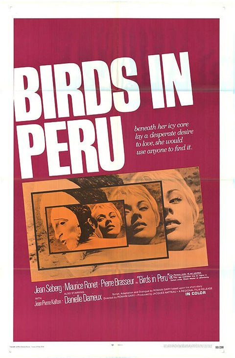 Birds in Peru