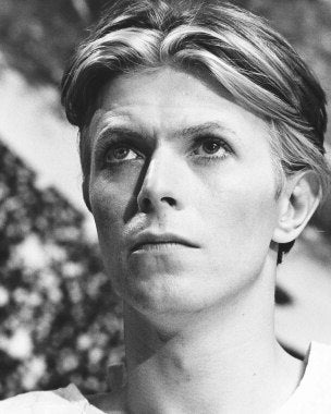 Man Who Fell to Earth