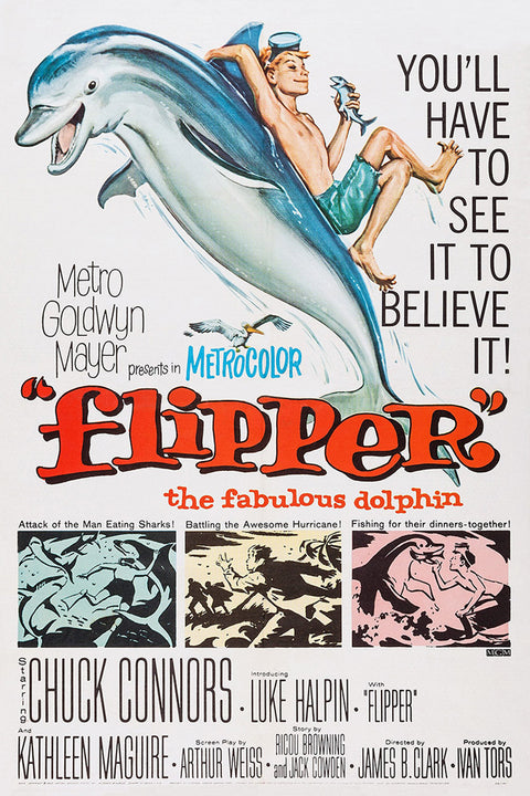 Flipper