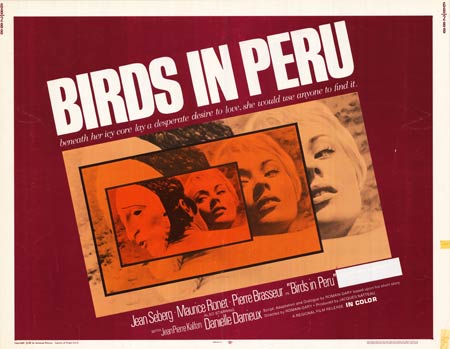 Birds in Peru