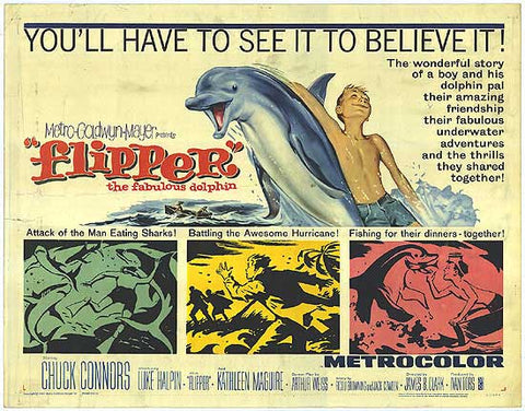 Flipper