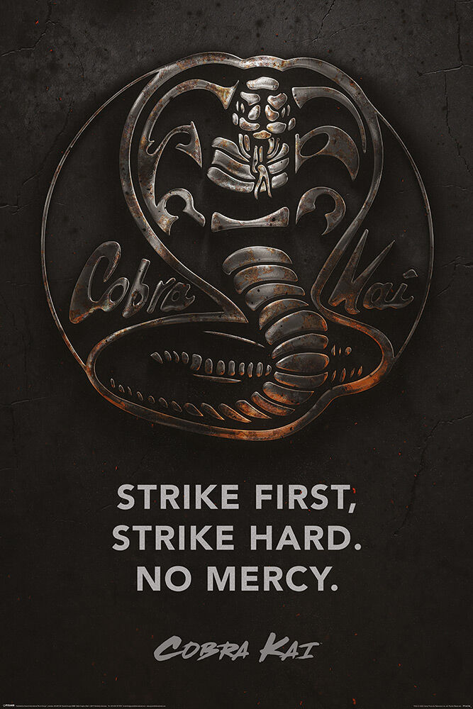 Cobra Kai Backgound Explore more American, Cobra Kai, Comedy, Film, Karate  Kid wallpaper.