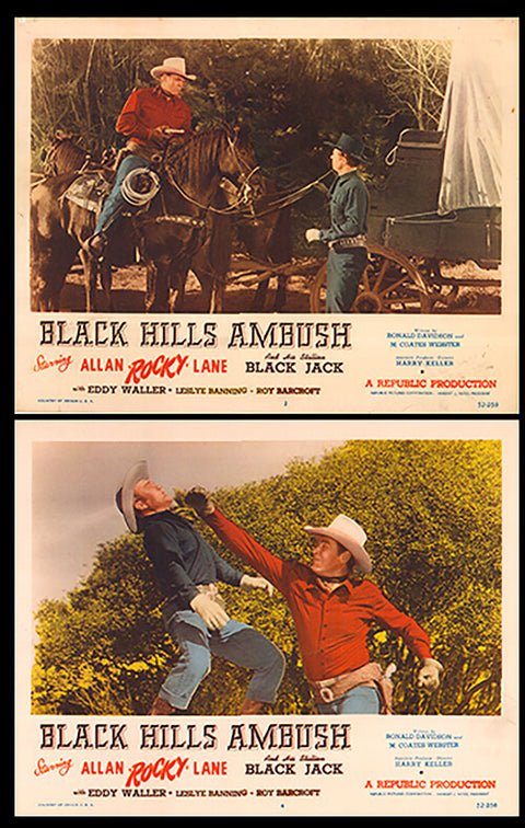 Black Hills Ambush