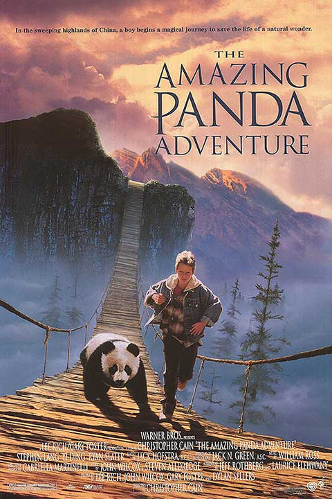 Amazing Panda Adventure