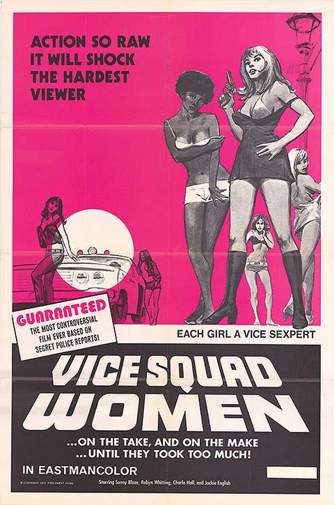 NIGHT CALL NURSES 1972 Original 1- SHEET Movie Poster