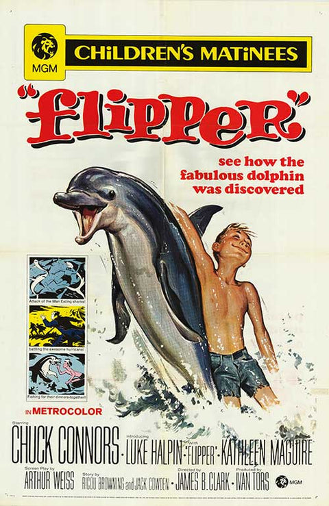 Flipper