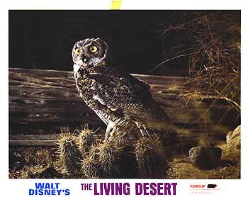 Living Desert/Vanishing Prairie