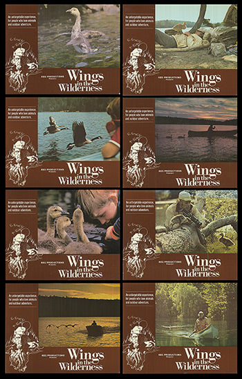 Wings in the Wilderness