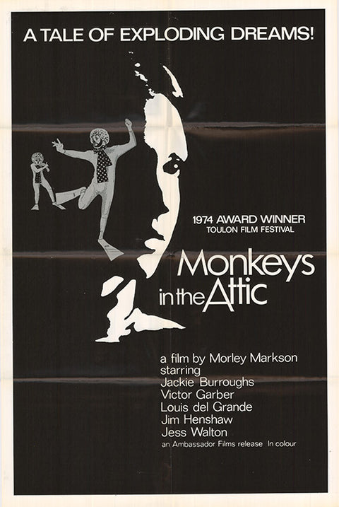 Monkeys in the Attic