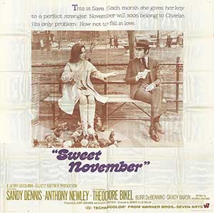 Sweet November