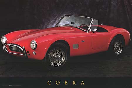 Cobra