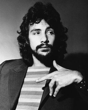 Cat Stevens