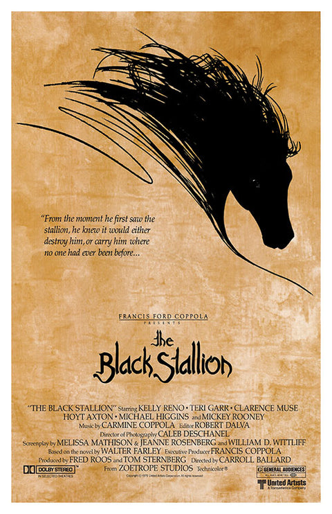 Black Stallion