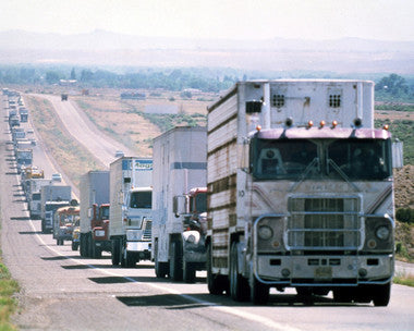 Convoy