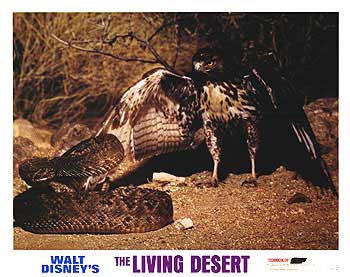 Living Desert/Vanishing Prairie