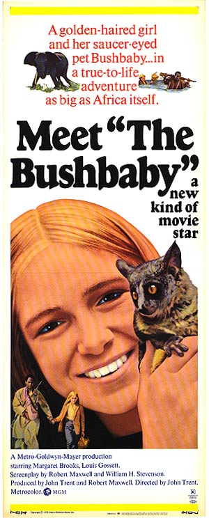 Bushbaby