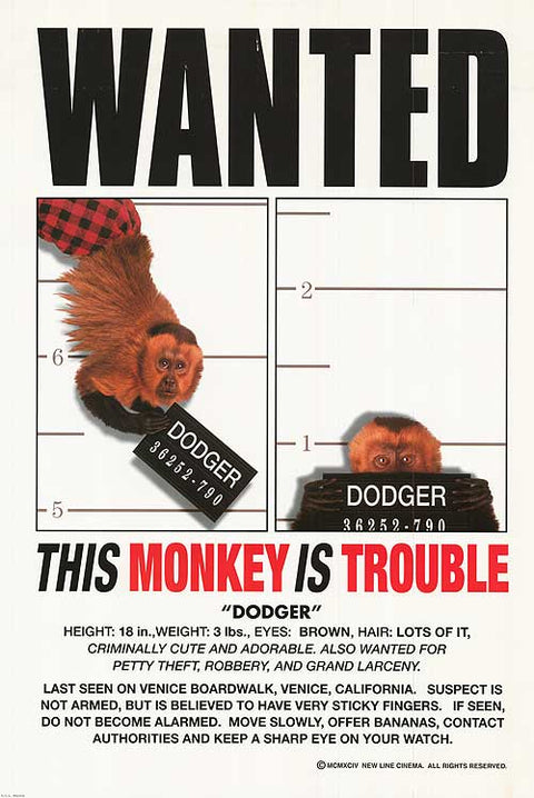 Monkey Trouble