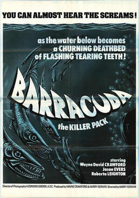 Barracuda