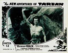 New Adventures Of Tarzan