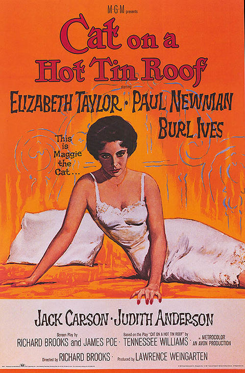 Cat On A Hot Tin Roof