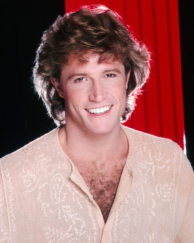 Andy Gibb