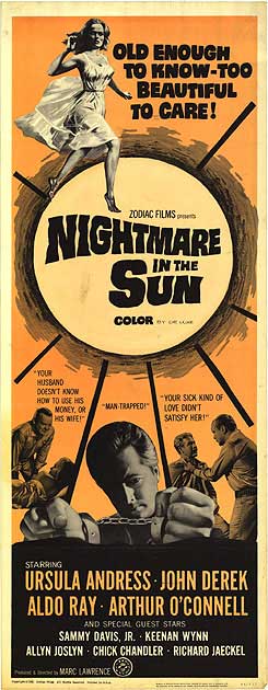 Nightmare In The Sun