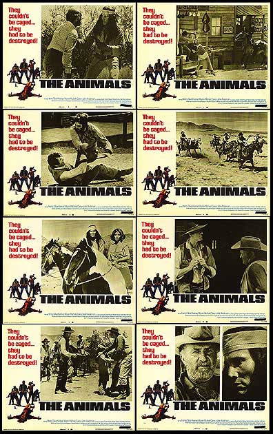 Animals