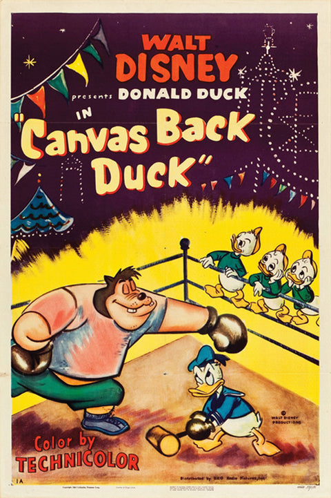 Canvas Back Duck