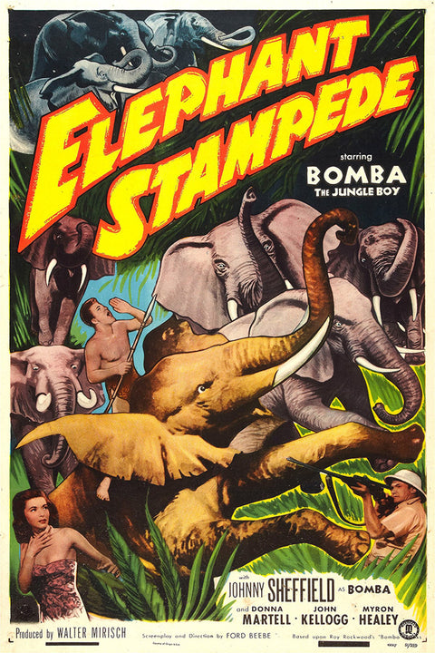 Elephant Stampede