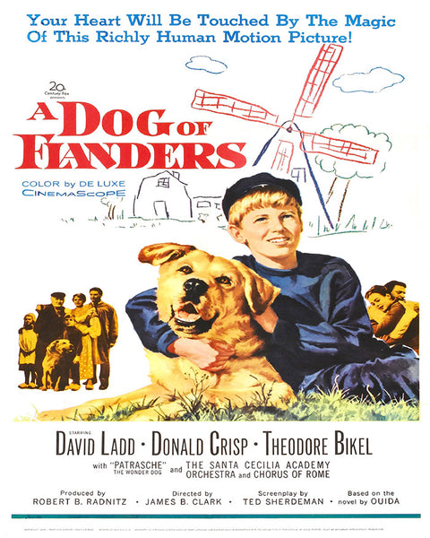 Dog Of Flanders