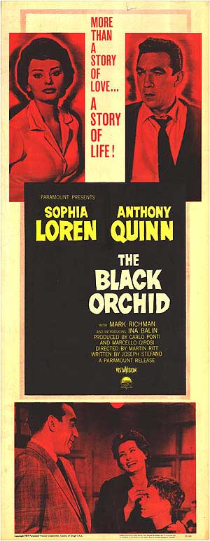 Black Orchid