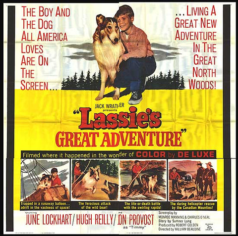 Lassie's Great Adventure