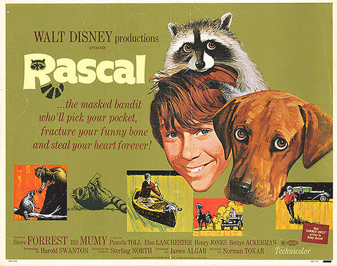 Rascal