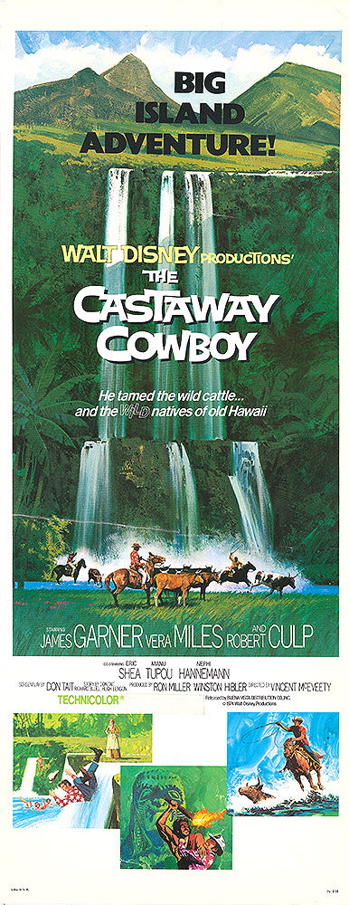 Castaway Cowboy